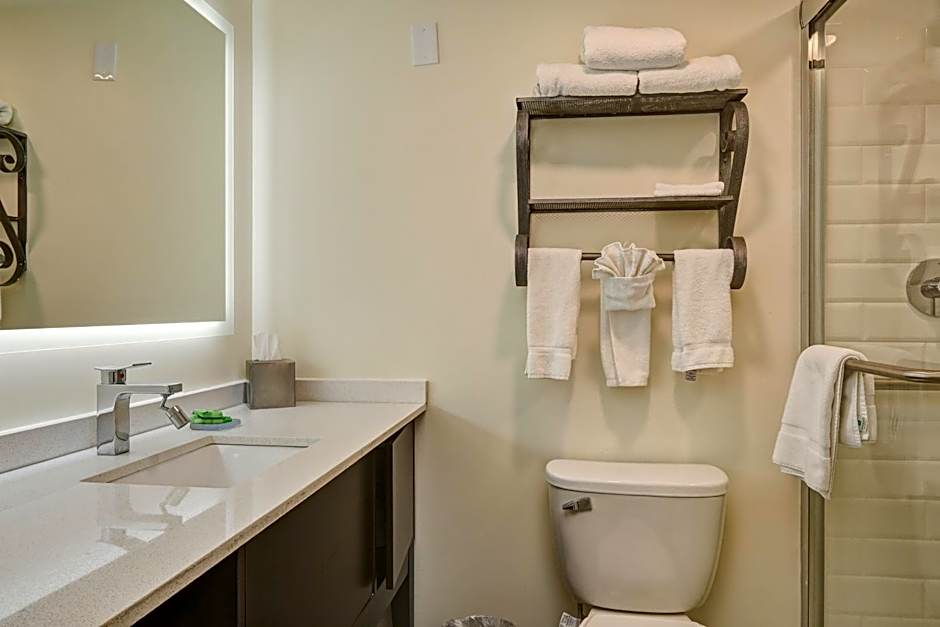 Holiday Inn Piscataway Somerset By IHG