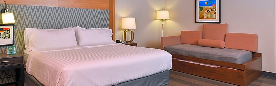 Holiday Inn Auburn-Finger Lakes Region