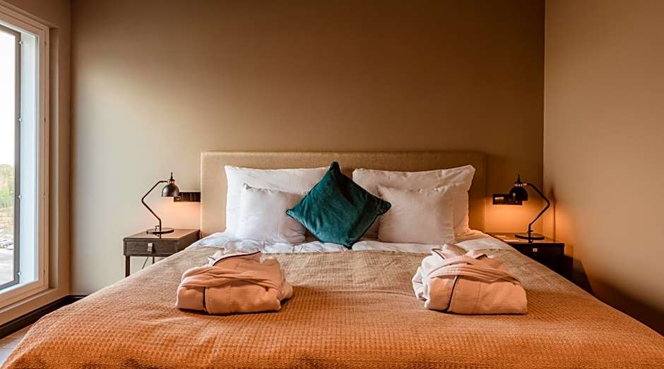 Clarion Hotel Aviapolis