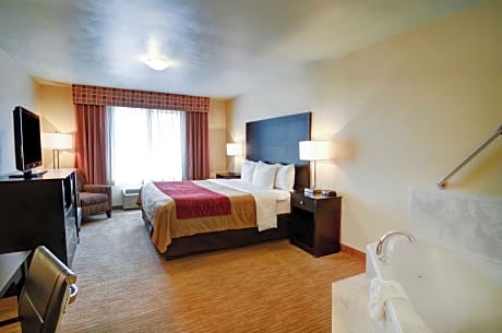 1 King Bed, Suite, Nonsmoking