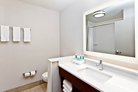 1 King Suite Mobility Accessible Tub