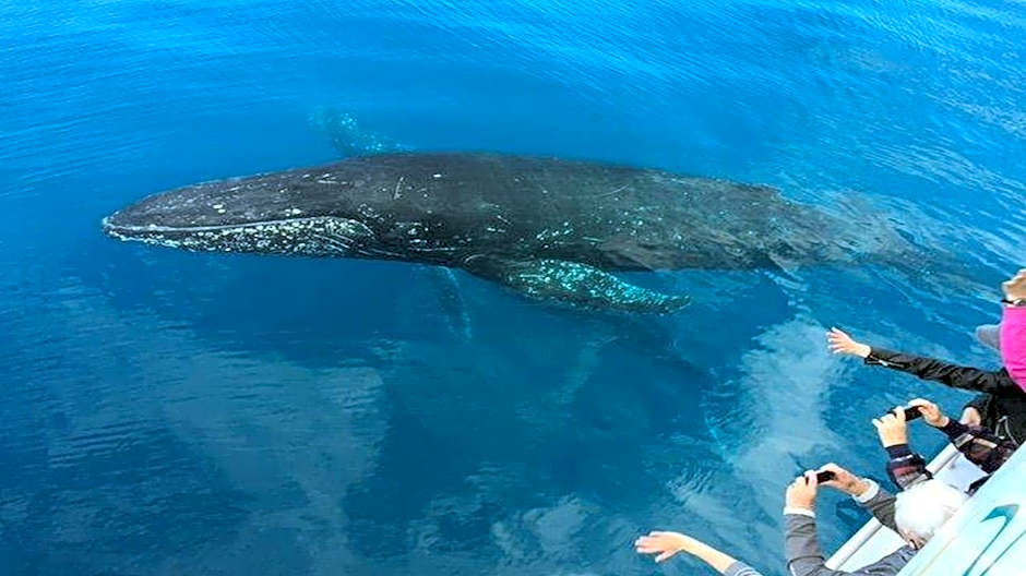 Tower Court Motel - adults only haven