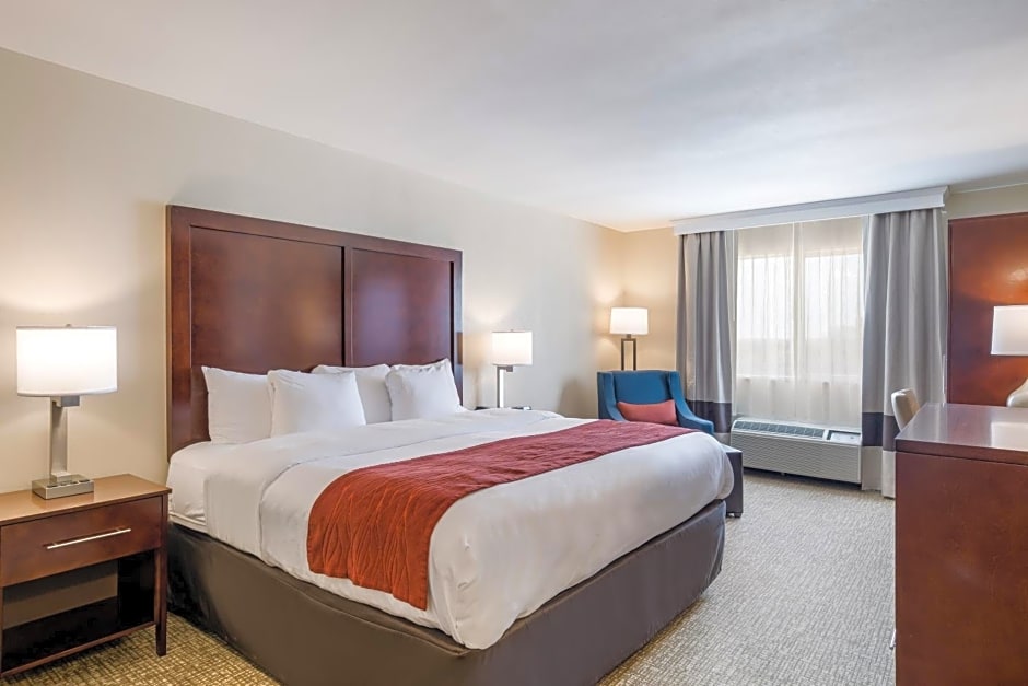 Comfort Inn Bonner Springs Kansas City