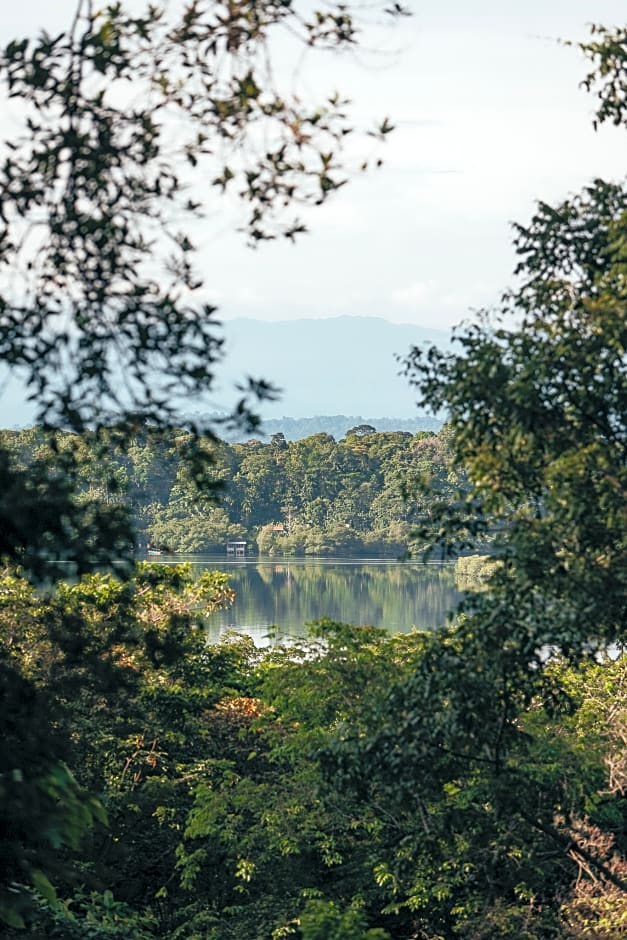 La Loma Jungle Lodge And Chocolate Farm