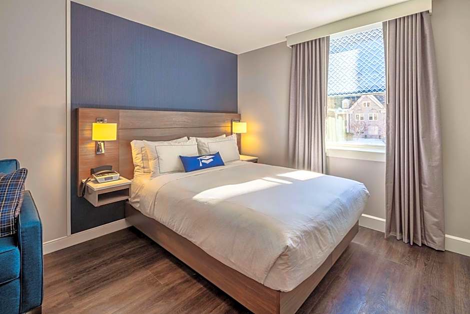 Scholar State College, Tapestry Collection by Hilton