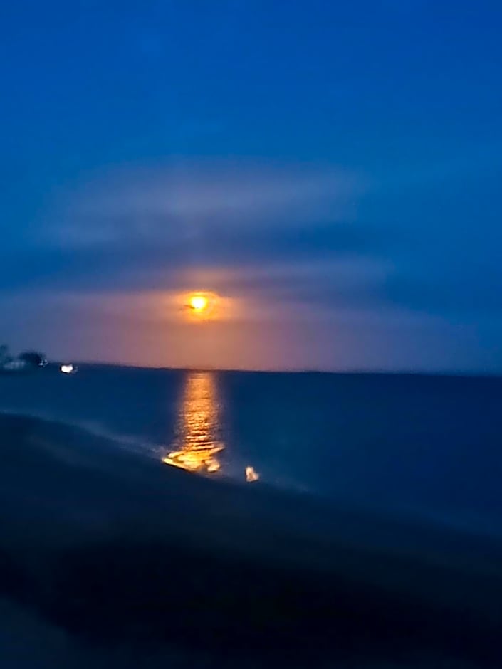 Hotel- Whale Tours and Sport fishing Vista Mag-Bay