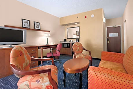 King Studio Suite - Non-Smoking