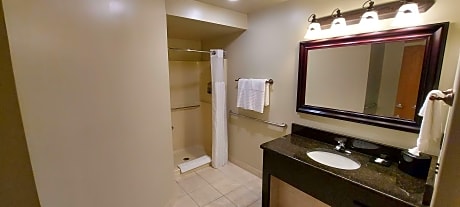 Suite-1 King Bed, Non-Smoking, Whirlpool, Fireplace, Refrigerator, High Speed Internet Access, Full 