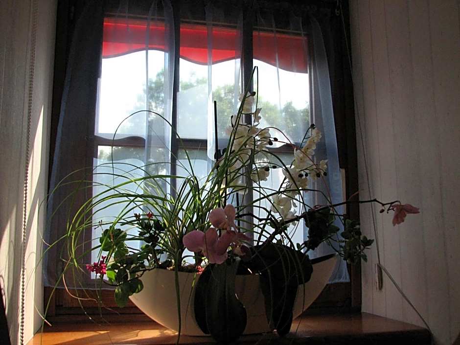 Le Pas de L'Ane Chambres d'hôtes