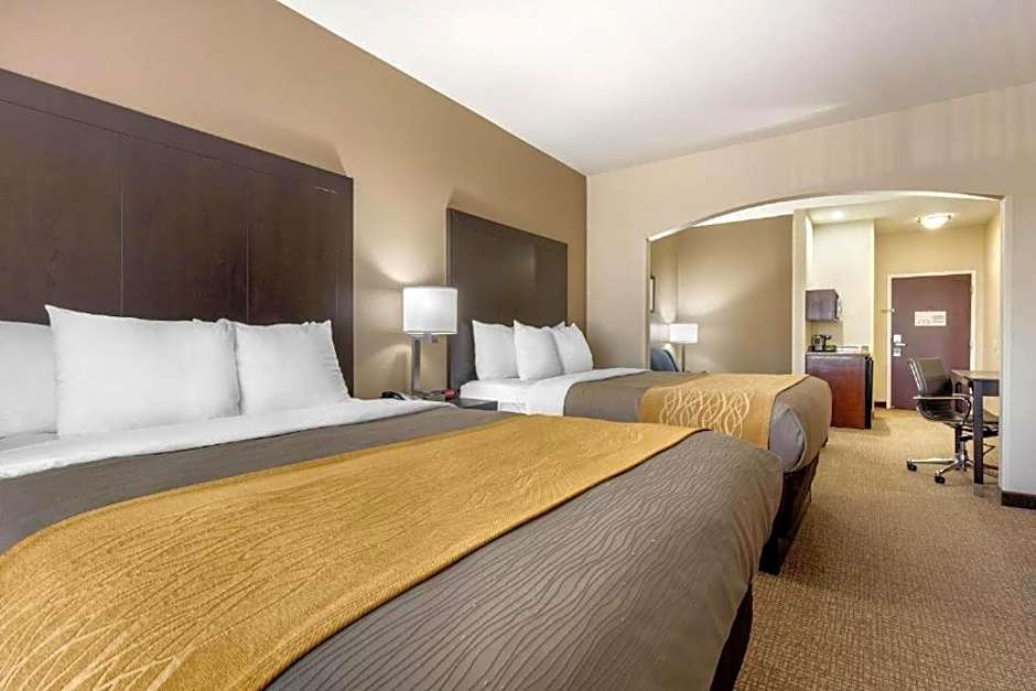 Photo 1 of 4 of 2 Queen Beds with Sofabed Suite
