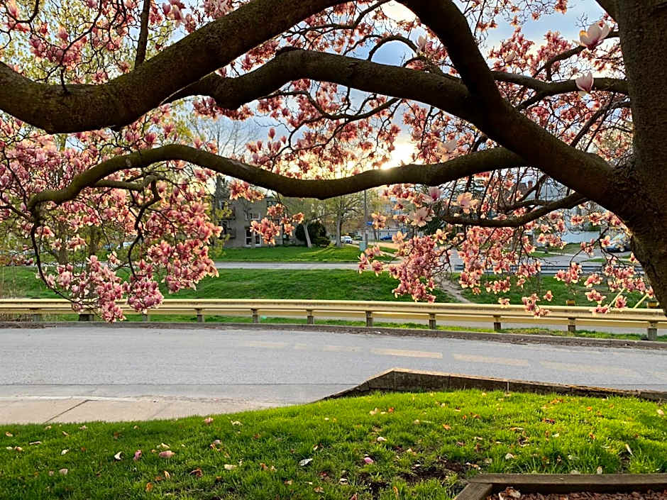 Strathaird Bed and Breakfast