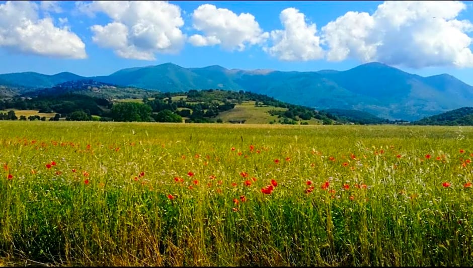 Casa per Ferie Metamorphosi