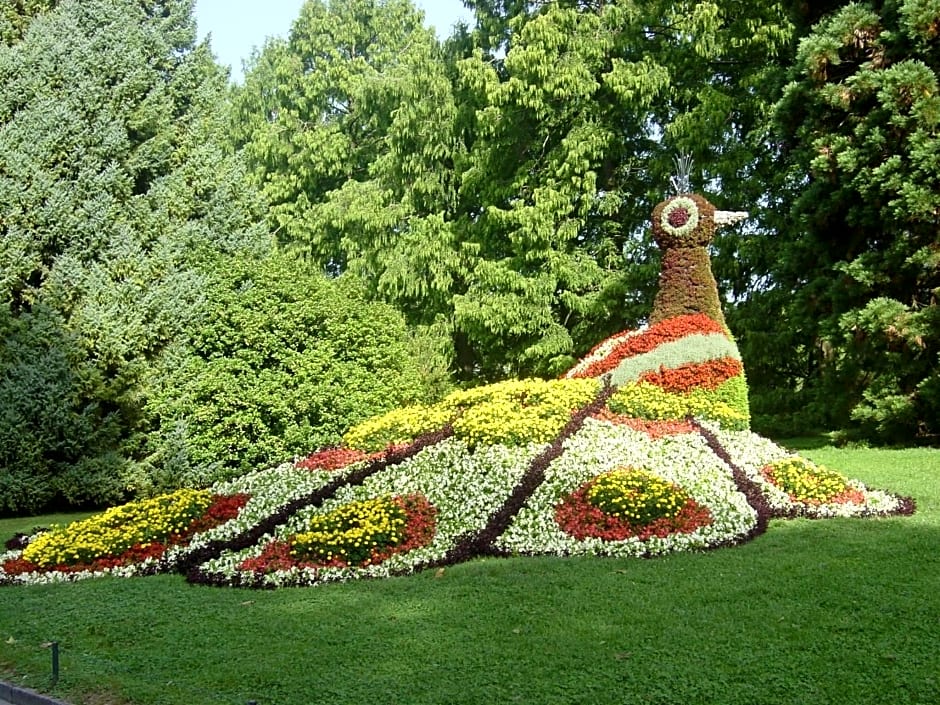 Teddybärenhotel