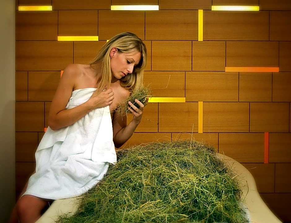 Granpanorama Hotel StephansHof