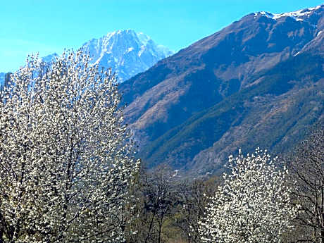 Standard Single Room with Mountain View