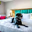 Hampton Inn By Hilton East Aurora