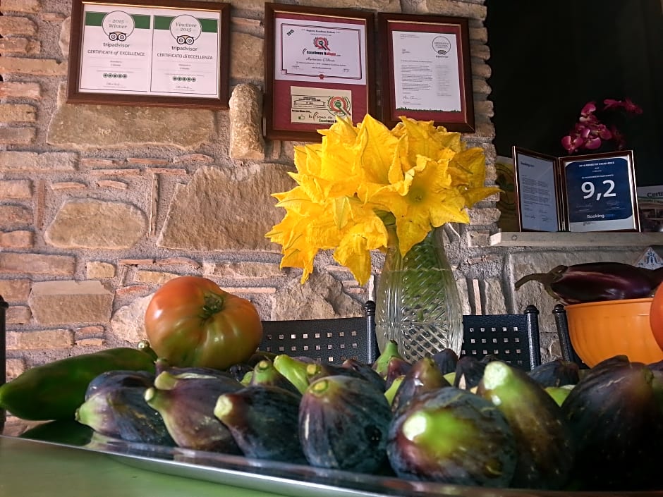 Agriturismo L'Uliveto