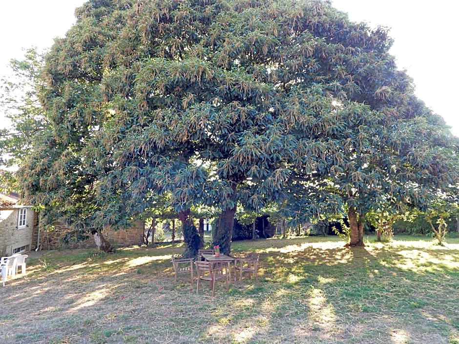 Pensión - Albergue de Logrosa