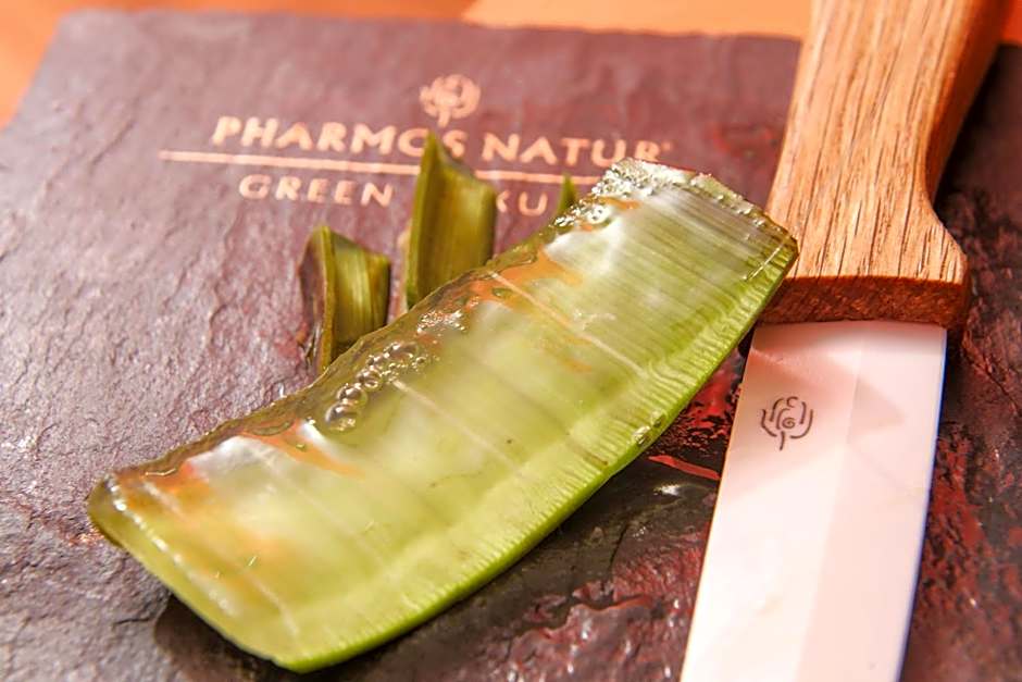 Schwarzwald Panorama