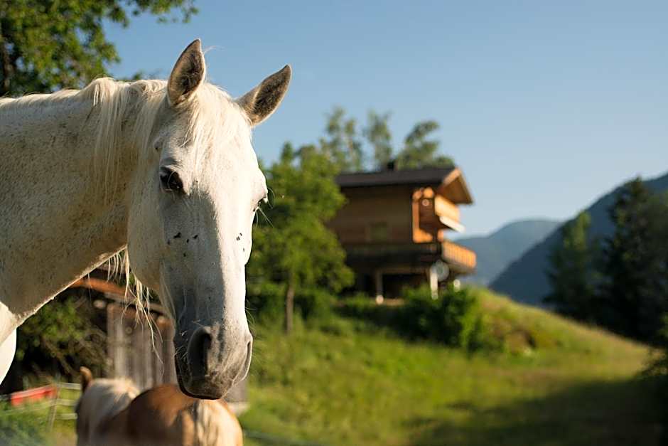 Ferienhaus Oetztal