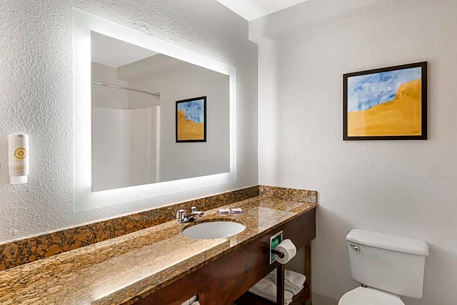 Comfort Inn & Suites Suwanee - Sugarloaf