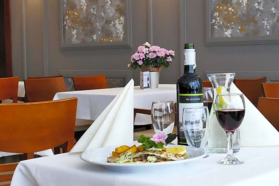 Hotel Termy Pałacowe