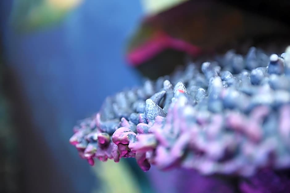 MagicSuite Guest House Roma Portuense