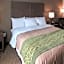 Comfort Inn & Suites Snyder