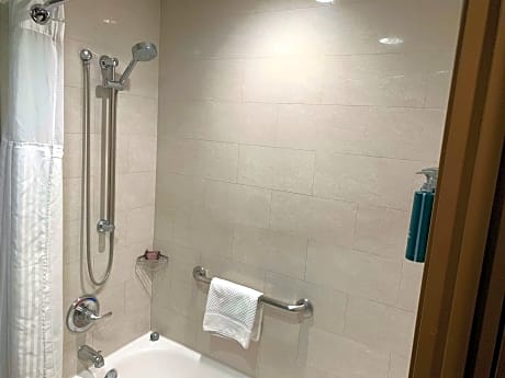 1 King Bed Mobility Accessible W/Bathtub