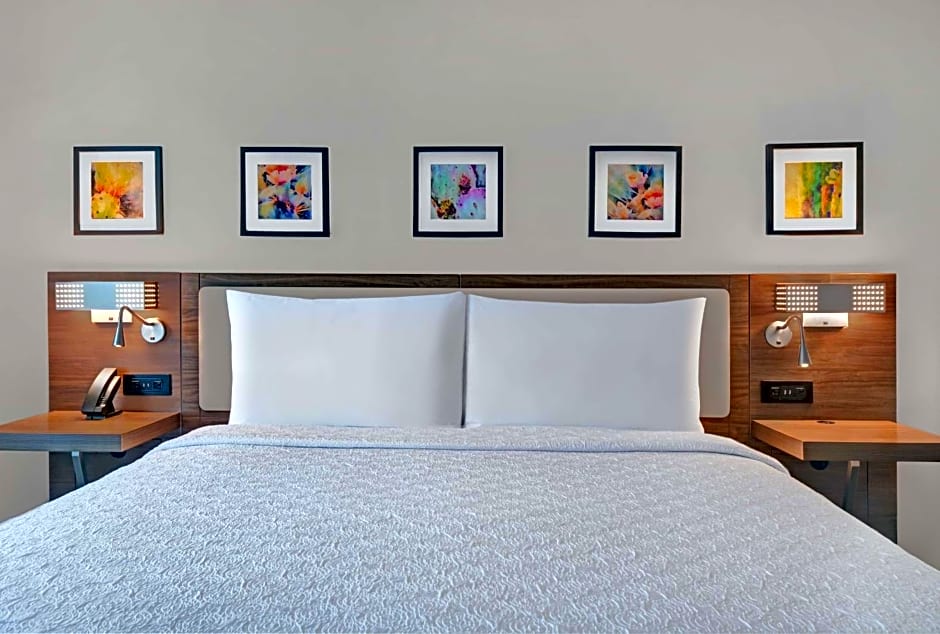 Hilton Garden Inn Houston Medical Center, TX