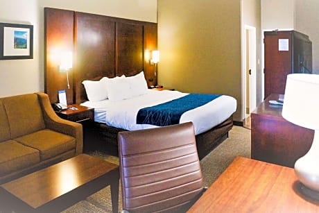 1 Queen Bed, Nonsmoking, Accessible