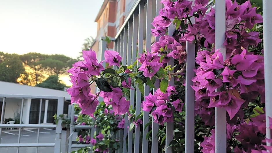 Villa Letizia - Casa per ferie