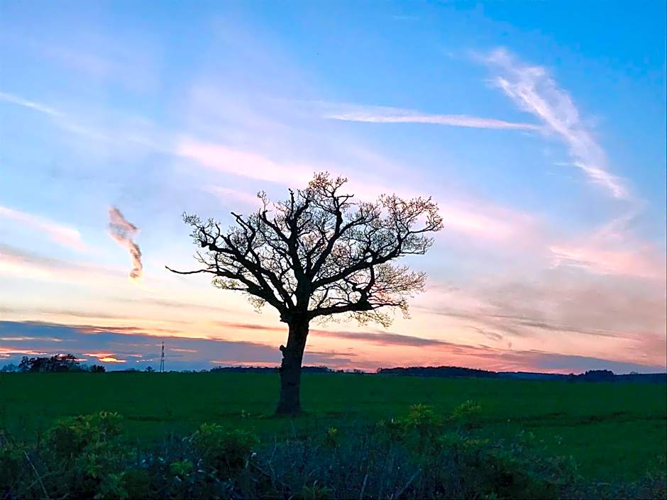 The Queen Matilda Country Rooms