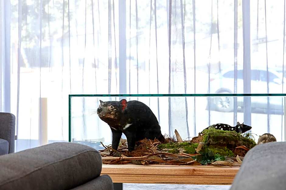 BIG4 Launceston Holiday Park