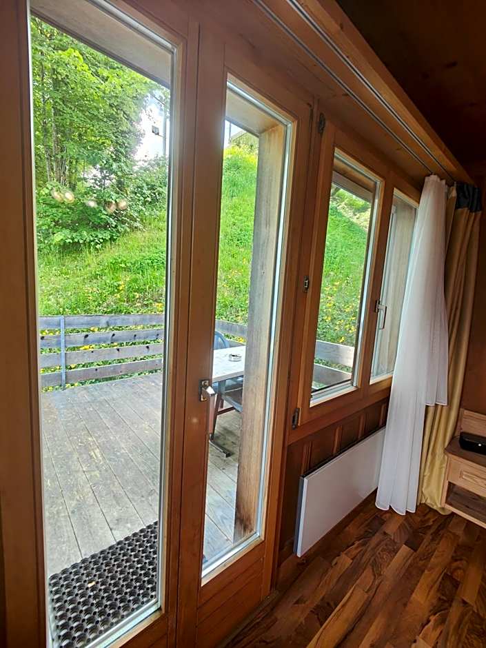Hotel Wildbach Brienz