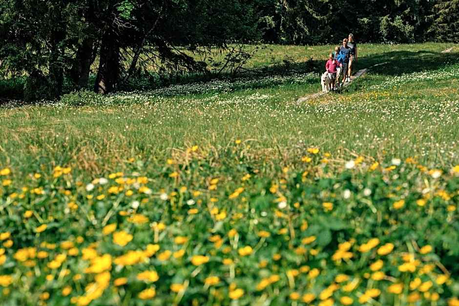 Heutaler Hof - Hotel im Naturidyll