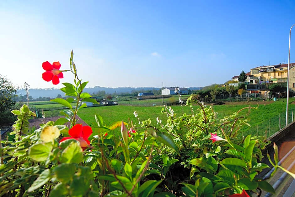 Le vigne sull’Adda