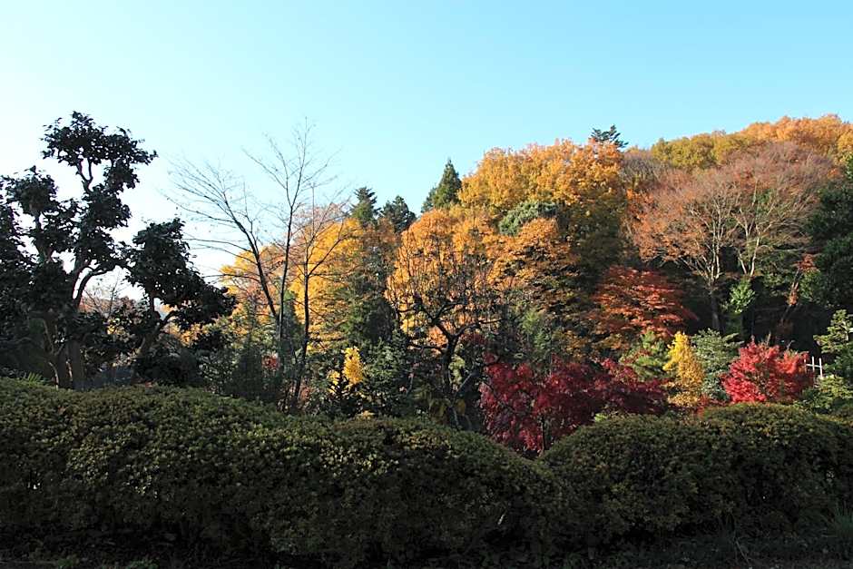 Kougetsu Sanso -- Moon Villa in Tokyo