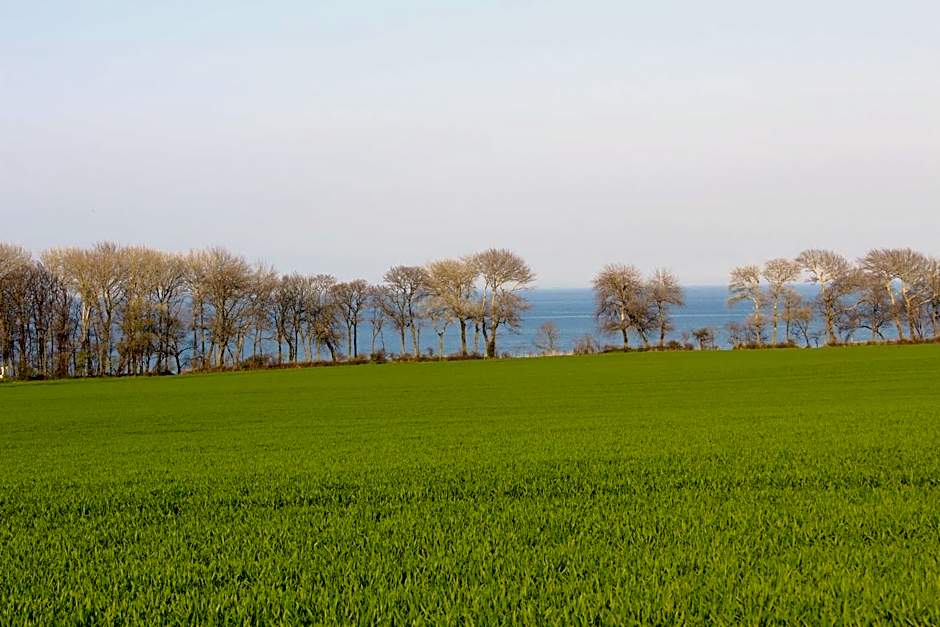 Ferienwohnungen am Museumshof