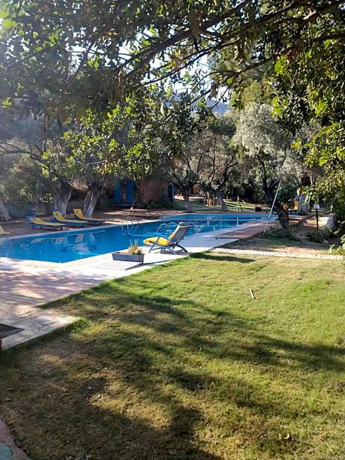 Bahar Bahce Datca