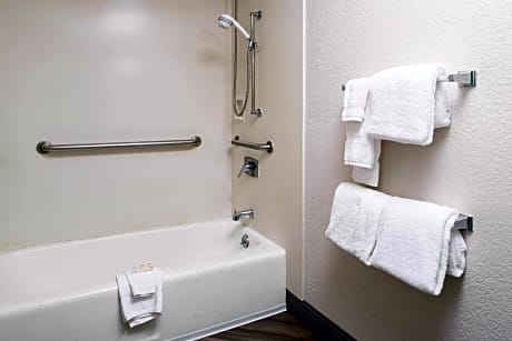 Double Room with Roll-In Shower - Mobility Accessible/Non-Smoking