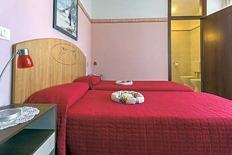 Double or Twin Room with Private Bathroom