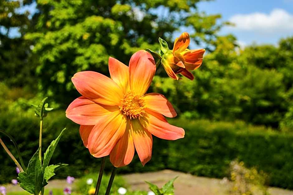 Holiday Inn Express Hotel & Suites Solana Beach-Del Mar By IHG