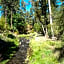 Pine Cabin, 2 Bedrooms, Fireplace, Midtown, Sleeps 6