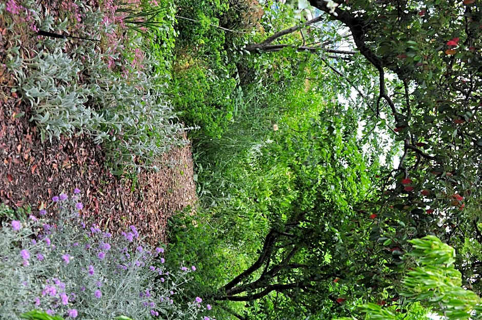 Holmhurst Guest House