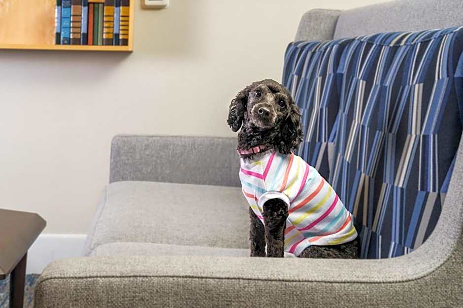 Holiday Inn Express Irondequoit By IHG