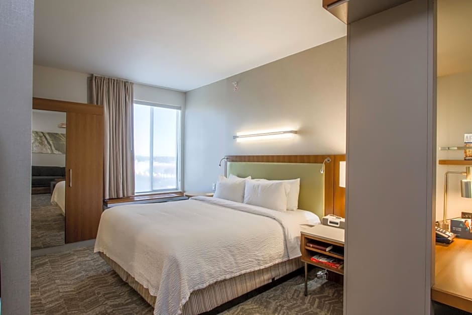 SpringHill Suites by Marriott San Angelo