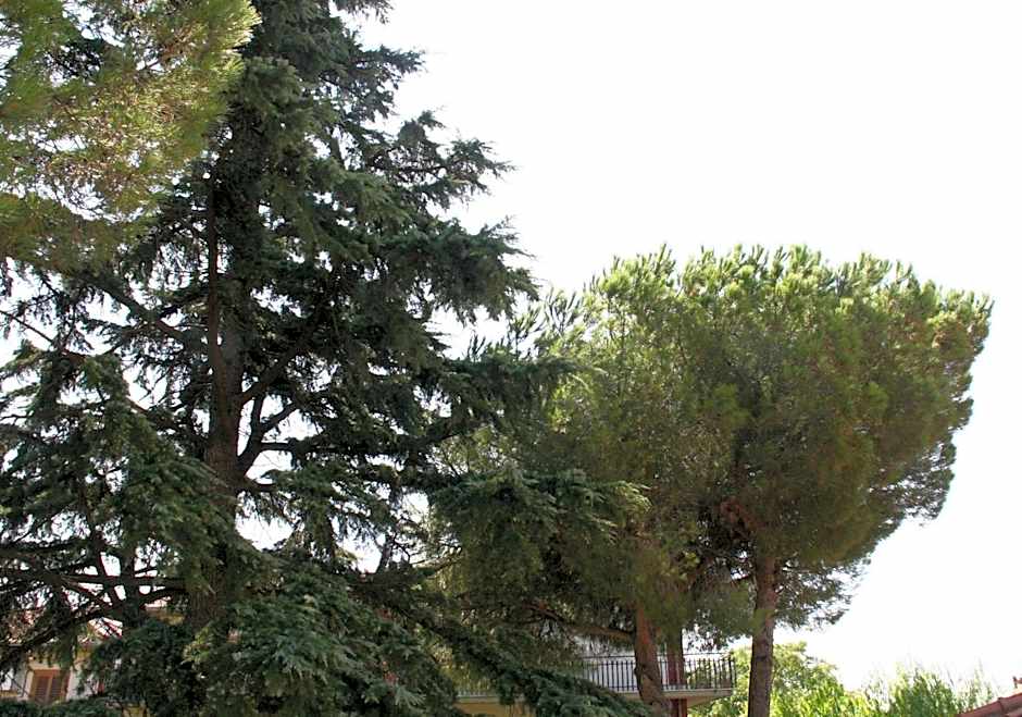 B&B Etna Country