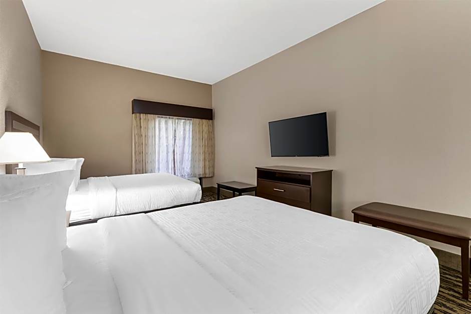 Best Western Plus McDonough Inn & Suites