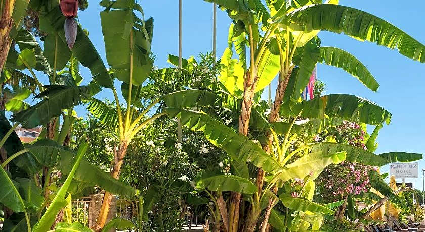 Temple Miletos Spa Hotel